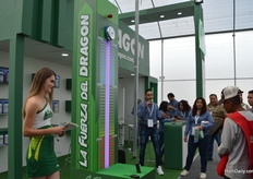 Enjoy the games at the booth of Dragon.