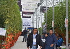 The greenhouse of MSC, VoloAgri and US Agriseeds.