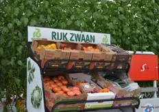 The fruit of Rijk Zwaan.