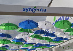 Umbrellas in the sky.