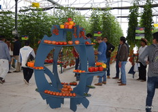 The tomatos of Koppert.