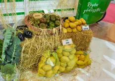 During the exhibition they launched their potato varieties.