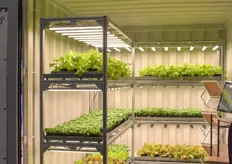 GND Solution vertical farming system