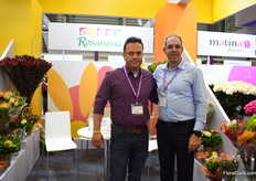 Arcadio Marinez and Eli Perez of Rosamina. Their main crop is the protea, which they grow in the open fields. They started 30 years ago with growing roses and 15 years ago, they shifted to protea and other types like Leucadendron and  pink cushion , who they can supply in both, bulk and bouquets. They see an increasing demand for these type of flowers and due to the Colombian climate they can supply their flowers 52 weeks a year.  