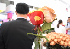 The painted roses of AALTAROSA. Last year, they started to paint logo's on the roses and Ricardo Canelos is pleased with the interest so far. "In the US, we've already supplied them for several events and holidays. The clients mind is the ceiling."