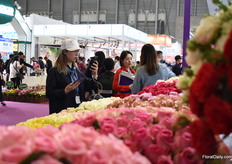Visitors taking pictures of the roses on display.