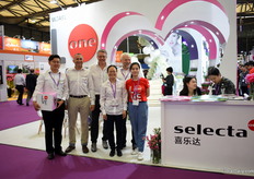 The team of Selecta One presenting the 'Love Story' concept. This concept is launched in China and destined for the Chinese market only. It is based on the Dianthus we have in our assortment. "We have Peach Party, Early Love, Pink Kisses and Purple Wedding. Together, in a chronical order it creates a nice love story. So, we made a box in which we put 4 12 cm plants that consumers can order online. In China online ordering is growing and becoming increasingly popular."