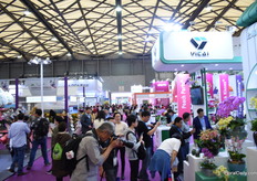 Picture, pictures and more pictures