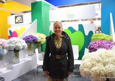Catalina Arango of Flores Del Este is pleased to show their hydrangeas in different colors.