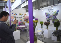 A lot of pictures are being made. Here, a picture is made of the craspedia of Florsani. On the right side in the picture, you see the butterfly. It is one of the designs made out of flowers by a Japanese designer and represents Florsani’s brand.According to Garcia, a having a brand in China is important. Therefore, their brand is also put on the sleeves.