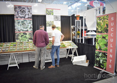 Diving into the succulents from Succulents Unlimited, supplier of unrooted cuttings of succulents and tropical foliage.