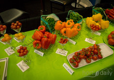 Various peppers and tomatoes by Enza Zaden.