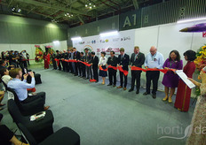 And the race is started! Uuh.. the show is opened. 