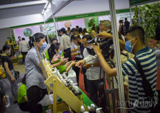 Explanation on different fresh & processed products