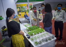 Showing propagation solutions for youngplants and banana trees.