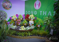 Dong Thang fruit exports