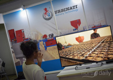 Showing the Urbinati nursery solutions for more automation the propagating industry