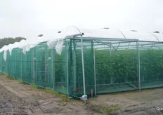 In total, the ISFC consists of 3000 square meters of greenhouse, 1000 square meters of racks, 1000 square meters of rain covers and 1000 square meters of tray field.