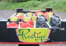 But with a box full of red berries, raspberries, blackberries, blueberries and of course strawberries, each visitor took home summer and sunshine. All this courtesy of Fruit Masters, also one of Delphy ISFC's innovation partners.