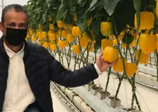 Alexander Cardona Vélez, technical director of Asintegral-Agro SAS, shows the peppers in the greenhouse.