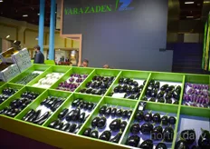 Eggplant varieties offered by Yara Zaden
