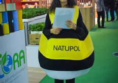 This is a bumblebee flying around the show.