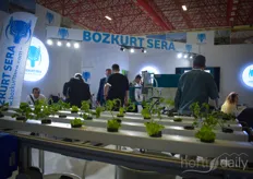 Bozkurt Sera showed their solution for growing lettuce on water.
