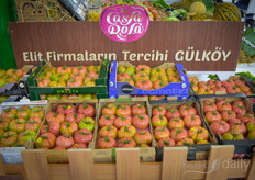 The Casa Dora tomatoes are a heirloom variety for the  course tomato market.