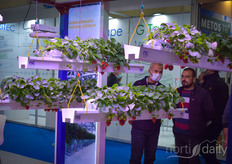 Aytekin Sera brought their system for growing strawberries in elevated gutters. 