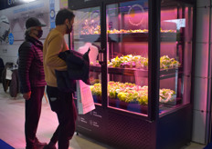 The Farminova plant factory was brought to the show by the Cantek group.