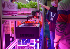 The Plantekno grow lights