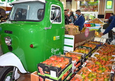 The beautiful varieties from Yuksel Tohum.