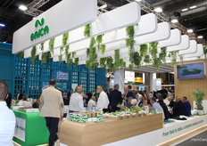 Meeting and lunch time at the Saica stand