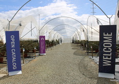The greenhouses where the Fall Creek varieties could be seen.