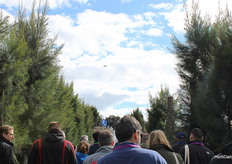 The attendees were divided into 4 groups to get to know and taste the different Planasa berries , under the watchful eye of the drone that followed us over our heads,