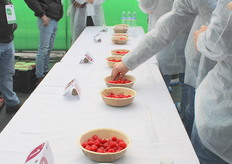 Jorge Fouillioux tastes Planasa's raspberries