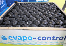 How does it work? Very simple, with their hexagonal structure, they form a surface that covers the skin, preventing direct radiation.