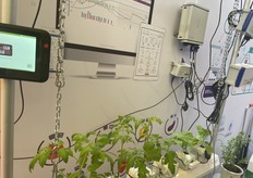 Trutina Crop Quality Scales introduces a cloud computing-based data monitoring, analysis, and decision support system, specially designed for modern intelligent greenhouses.