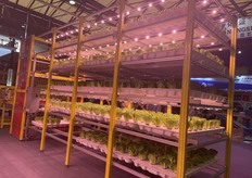 Vertical farm solutions on display during the exhibition.