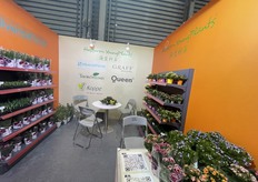 HasFarm Young Plant Group, from Vietnam, has activities in China in Kunming.