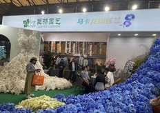 Create a wedding dress display with colorful Phalaenopsis.