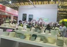 Display of various flower pots