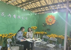 Sunflower seed grower.