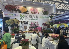 KP Holland breeding company FloraGreen.