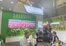 Colorful display at Beijing Oriential's booth.