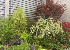 Garden styling ideas.