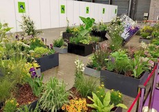 Display of floral works for garden inspiration.