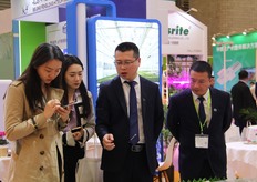 KingPeng's technology team has completed many greenhouse projects at home and abroad.