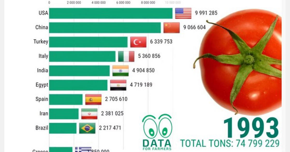 Top 10 tomato producing countries