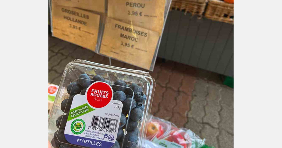 “Gracias a nuestros monitores, los comerciantes españoles ya no tienen que visitar las tiendas alemanas”